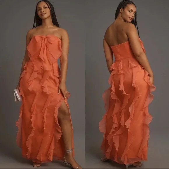 Anthropologie Hutch Strapless Tiered Tulle Maxi Dress - Picture 1 of 9